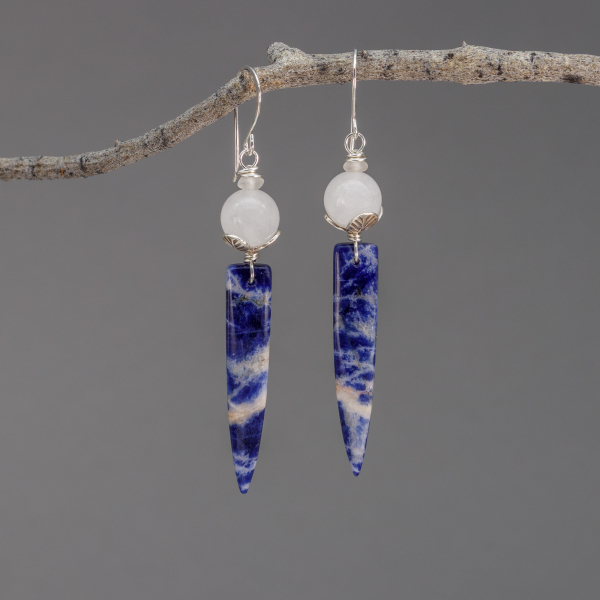 Navy blue and white sodalite earrings shown hanging from a twig.