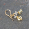 Earrings with Citrine and Raw Quartz