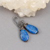 Blue Stone Drop Earrings